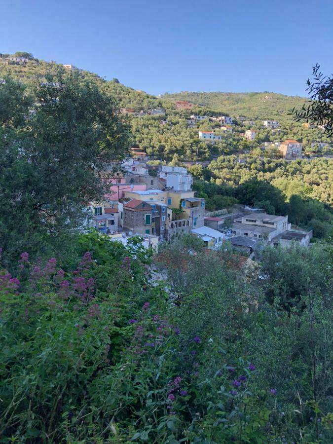 Petit Maison Jeranto Nerano Exteriér fotografie
